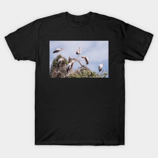 Yellow Billed Stork colony T-Shirt